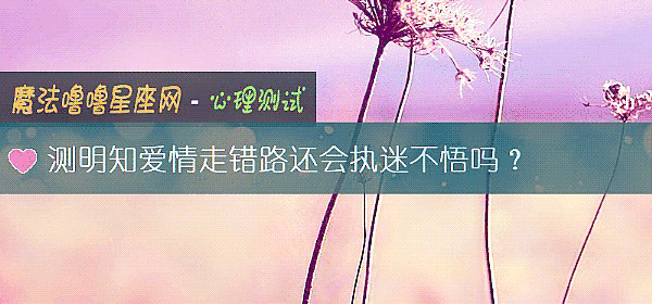 测明知爱情走错路还会执迷不悟吗？