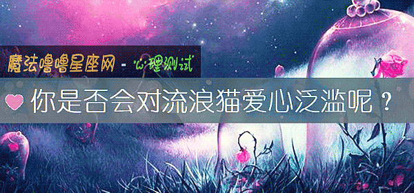 你是否会对流浪猫爱心泛滥呢？