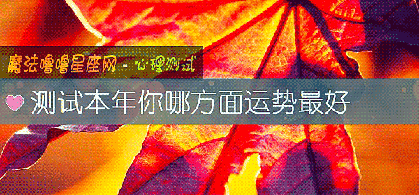 测试本年你哪方面运势最好