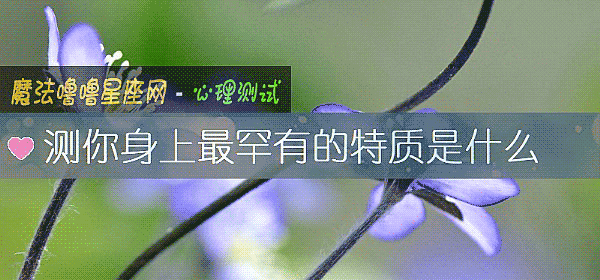 测你身上最罕有的特质是什么