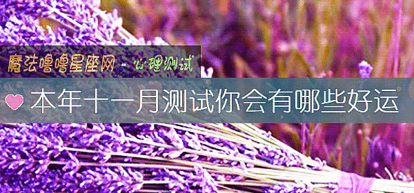 本年十一月测试你会有哪些好运