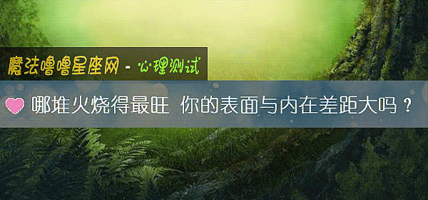 哪堆火烧得最旺 你的表面与内在差距大吗？
