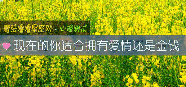 现在的你适合拥有爱情还是金钱