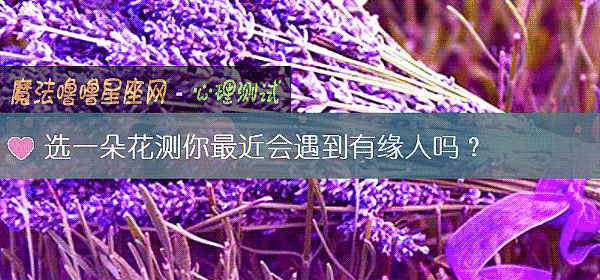 选一朵花测你最近会遇到有缘人吗？