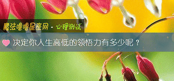 决定你人生高低的领悟力有多少呢？