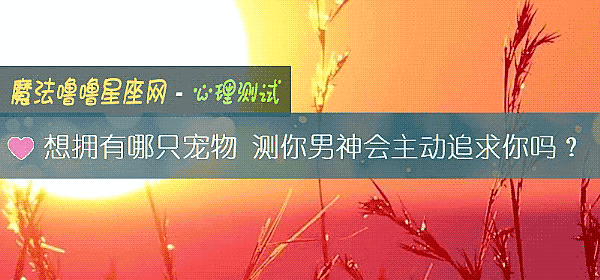 想拥有哪只宠物 测你男神会主动追求你吗？