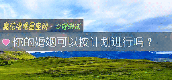 你的婚姻可以按计划进行吗?