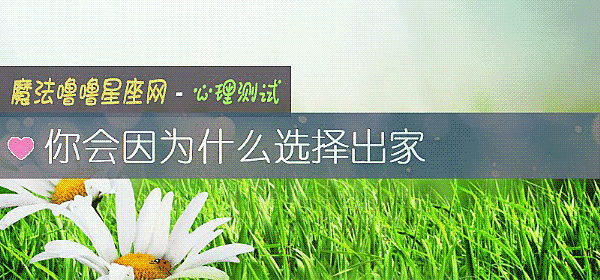 你会因为什么选择出家