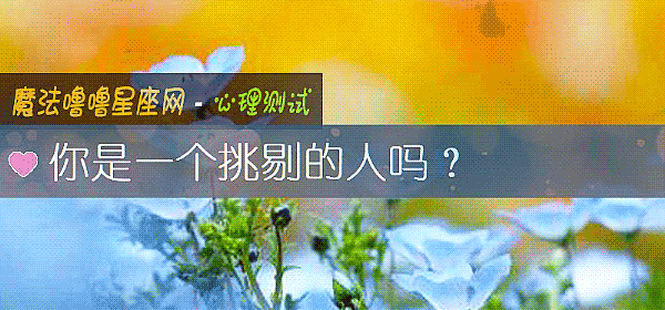 你是一个挑剔的人吗？