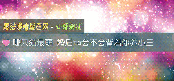 哪只猫最萌 婚后ta会不会背着你养小三