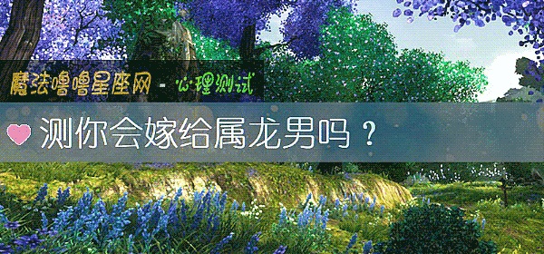 测你会嫁给属龙男吗？