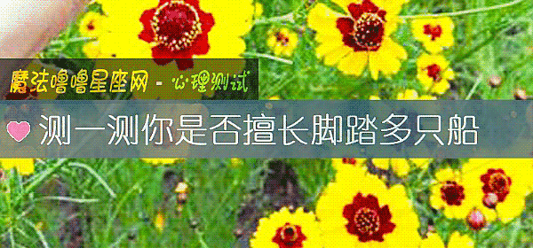 测一测你是否擅长脚踏多只船