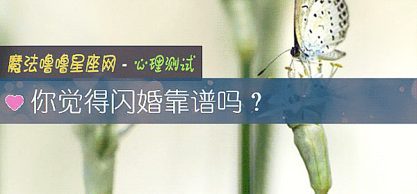 你觉得闪婚靠谱吗？