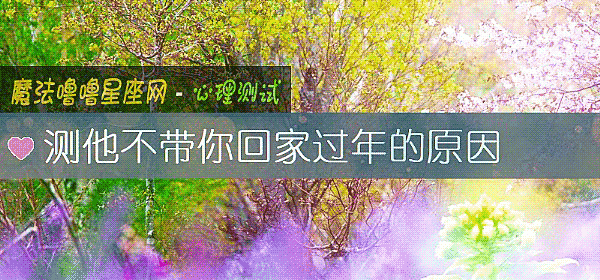 测他不带你回家过年的原因