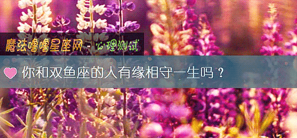 你和双鱼座的人有缘相守一生吗？