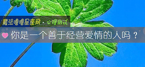 你是一个善于经营爱情的人吗？