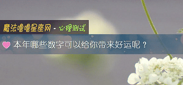 本年哪些数字可以给你带来好运呢？