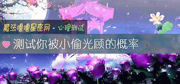 测试你被小偷光顾的概率