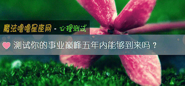 测试你的事业巅峰五年内能够到来吗？
