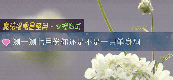 测一测七月份你还是不是一只单身狗