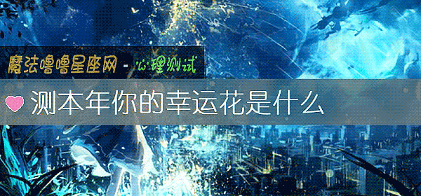 测本年你的幸运花是什么