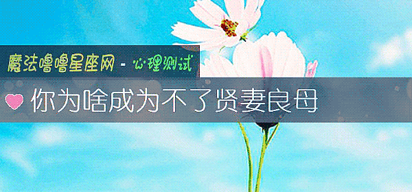 你为啥成为不了贤妻良母