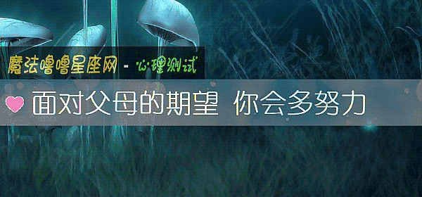 面对父母的期望 你会多努力