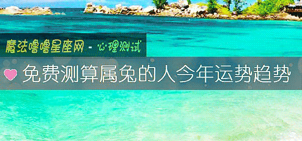 免费测算属兔的人今年运势趋势