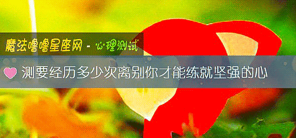 测要经历多少次离别你才能练就坚强的心