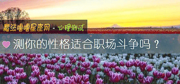 测你的性格适合职场斗争吗？