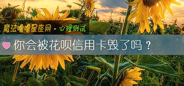 你会被花呗信用卡毁了吗？