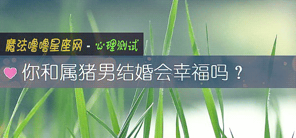 你和属猪男结婚会幸福吗?