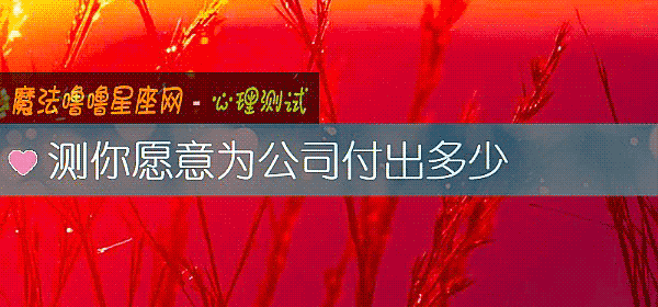 测你愿意为公司付出多少