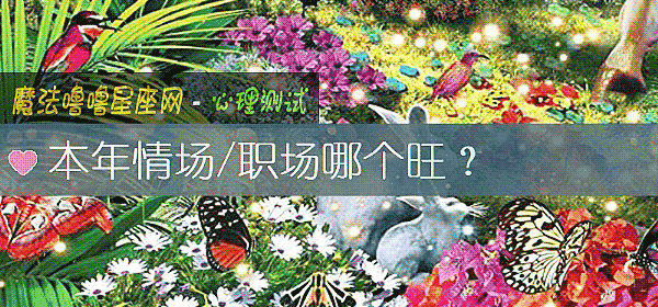 本年情场/职场哪个旺？