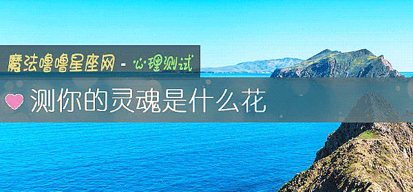 测你的灵魂是什么花