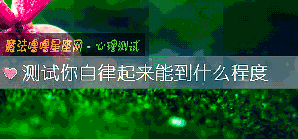 测试你自律起来能到什么程度