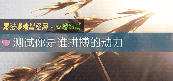 测试你是谁拼搏的动力