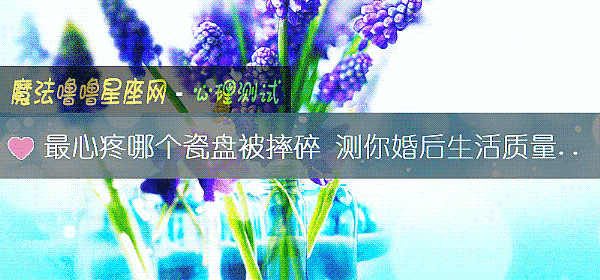 最心疼哪个瓷盘被摔碎 测你婚后生活质量好吗?