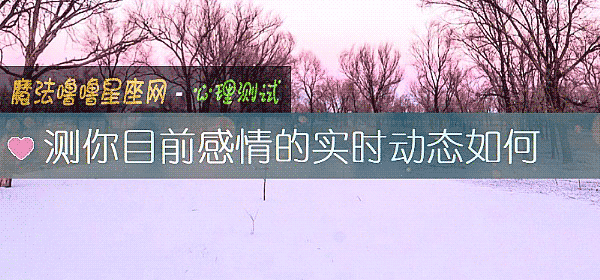 测你目前感情的实时动态如何