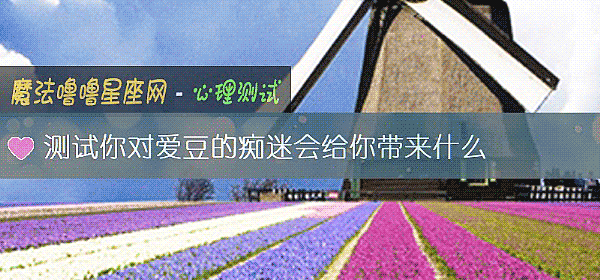 测试你对爱豆的痴迷会给你带来什么