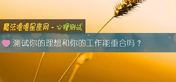 测试你的理想和你的工作能重合吗？