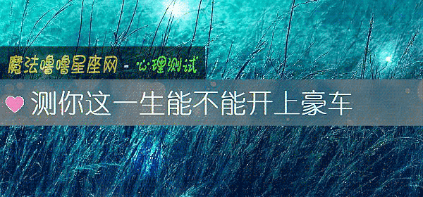 测你这一生能不能开上豪车