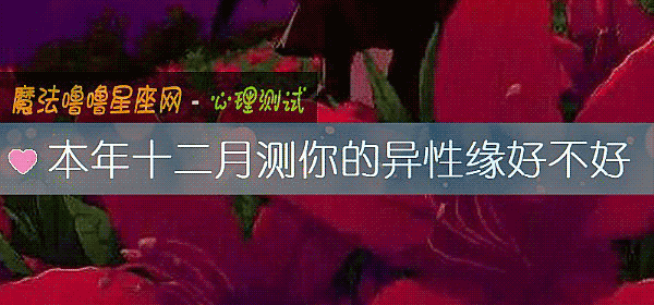本年十二月测你的异性缘好不好