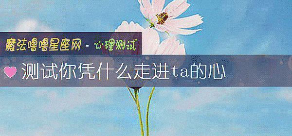 测试你凭什么走进ta的心