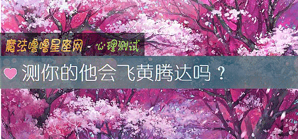 测你的他会飞黄腾达吗？