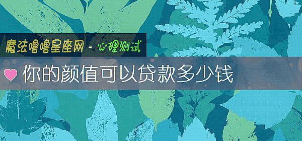 你的颜值可以贷款多少钱