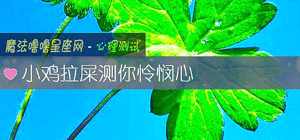 小鸡拉屎测你怜悯心