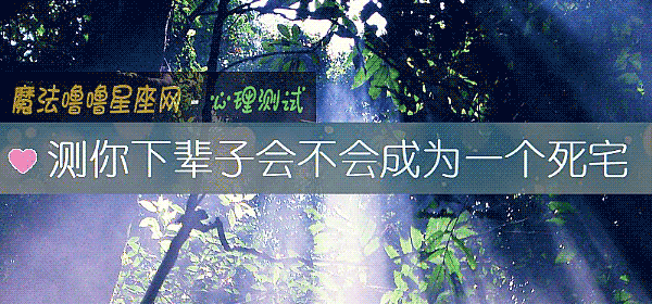 测你下辈子会不会成为一个死宅