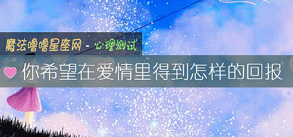 你希望在爱情里得到怎样的回报