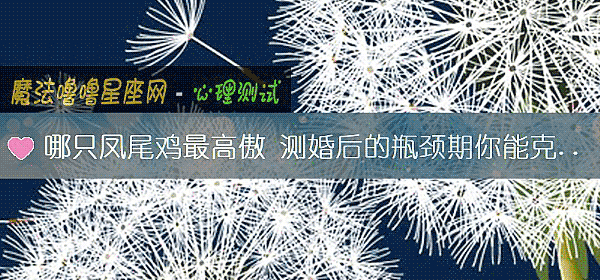 哪只凤尾鸡最高傲 测婚后的瓶颈期你能克服吗?